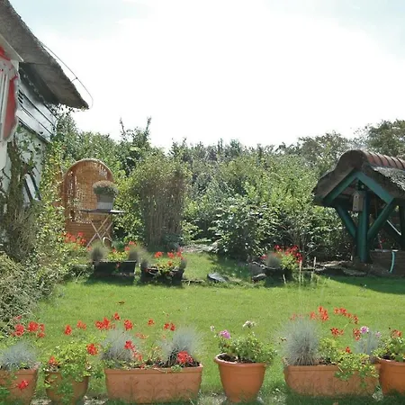 Vakantiehuis Holiday Iii *